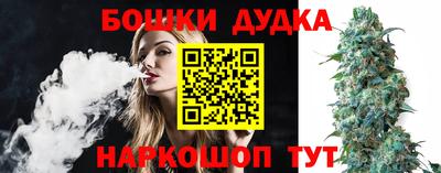 дмт Будённовск