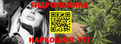 дмт Будённовск