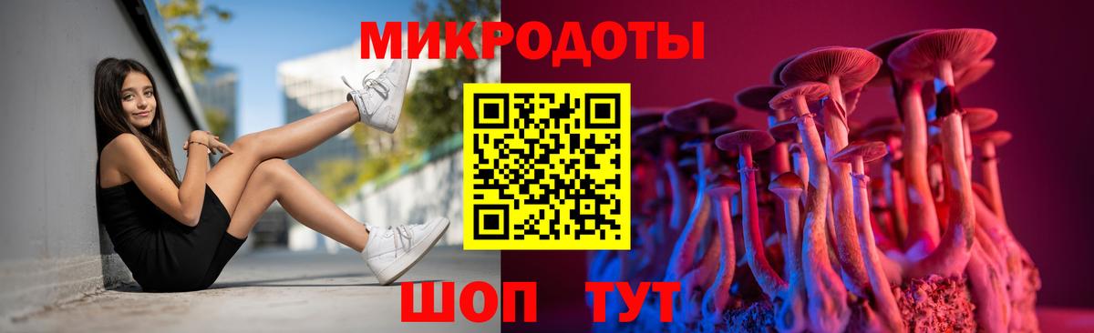 Псилоцибиновые грибы Psilocybe  Вход с VPN  Лениногорск 